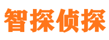 涵江侦探公司